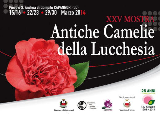 mostra camelie 2014